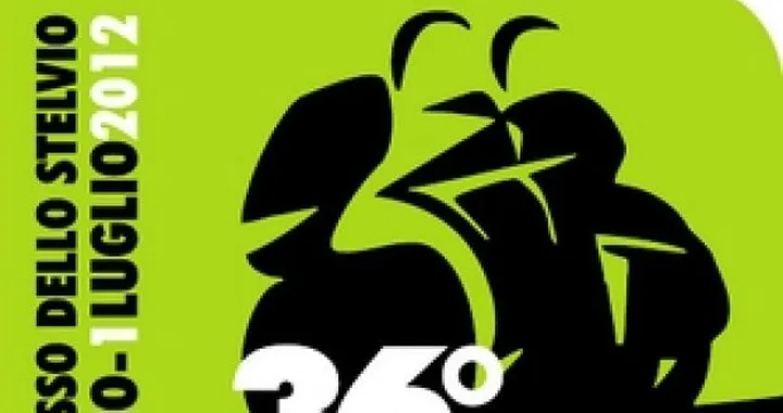 36° Motoraduno Stelvio International powered by Metzeler