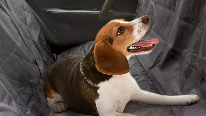 Cane in auto senza sporcare: con questo telo scontato risolvi il problema