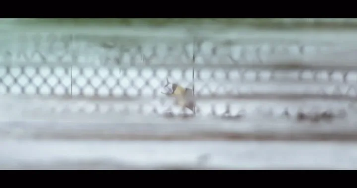 Motocross delle Nazioni di Maggiora