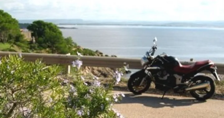Foto del giorno: voglio andare ad Alghero, in compagnia della mia Breva