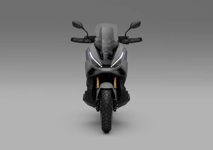 ingrandisci immagine