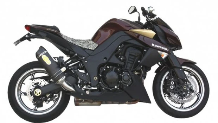 Terminali Exan Carbon Cap per Kawasaki Z1000