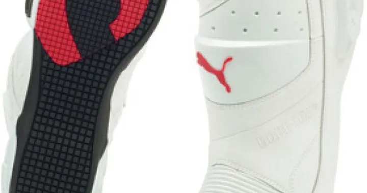 Stivale Puma Desmo V2 G-Tex