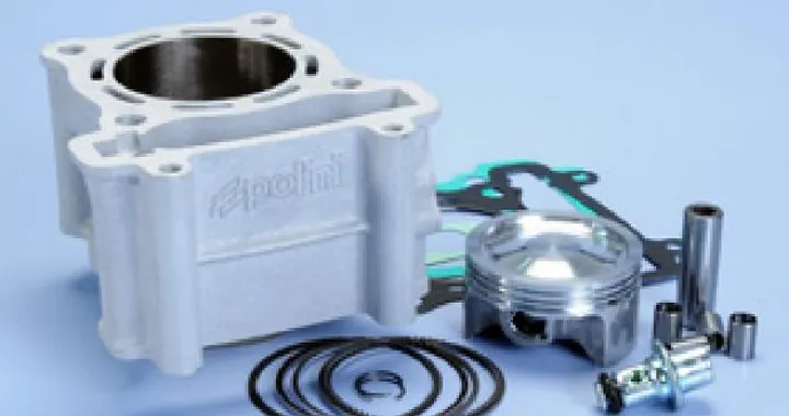 Kit Polini per Yamaha X-Max/X-City 125 (MBK Cityliner 125)