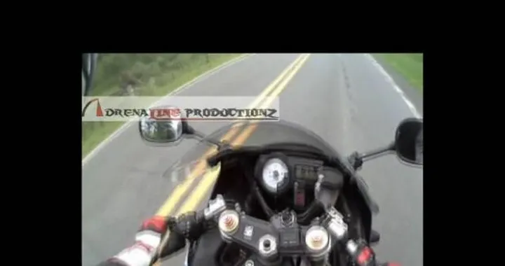 Video: motociclista investe un capriolo