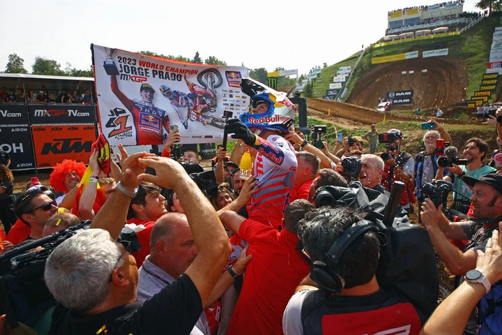 ingrandisci immagine