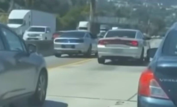 Con la Mustang sfida una Charger, ma è la Polizia... [Video]