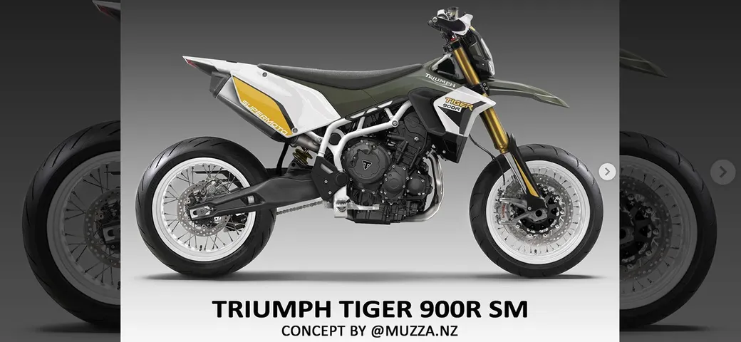 Una Triumph Tiger 900 Rally rivisitata in chiave Supermoto by Muzza