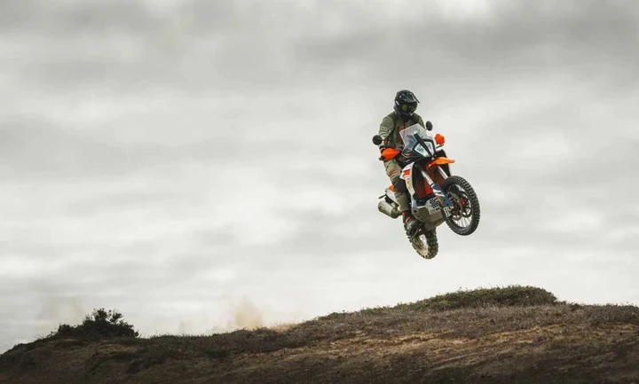 ingrandisci immagine