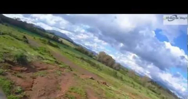 Yamaha WR450 vs YZ 250 enduro e cross dal DNA comune: il Video test di Motoblog