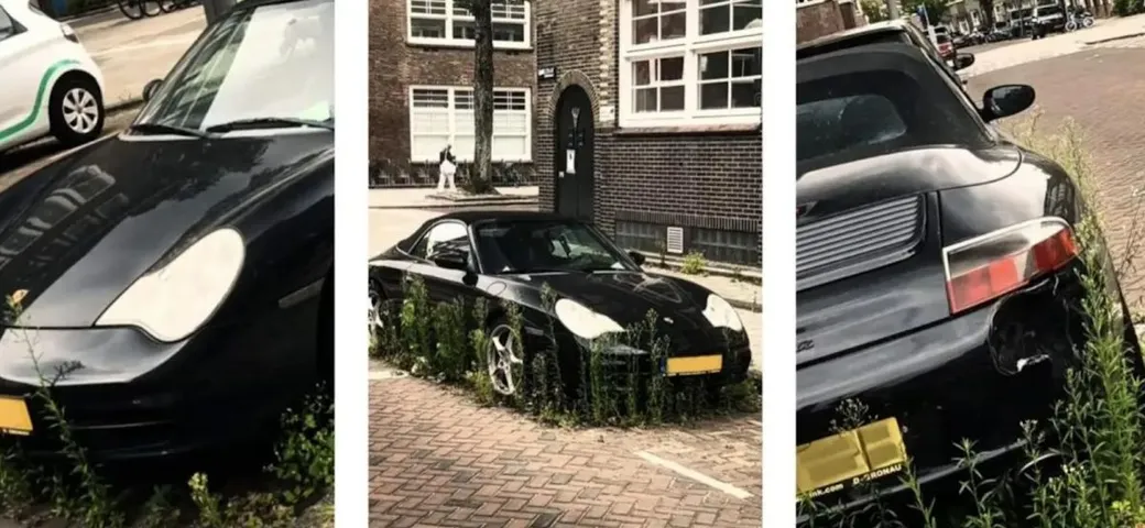 La natura si prende gioco di una Porsche: scempio in un parcheggio