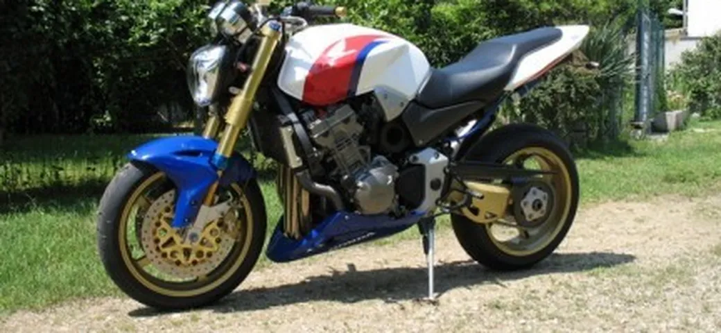 Hornet 900 by Segale