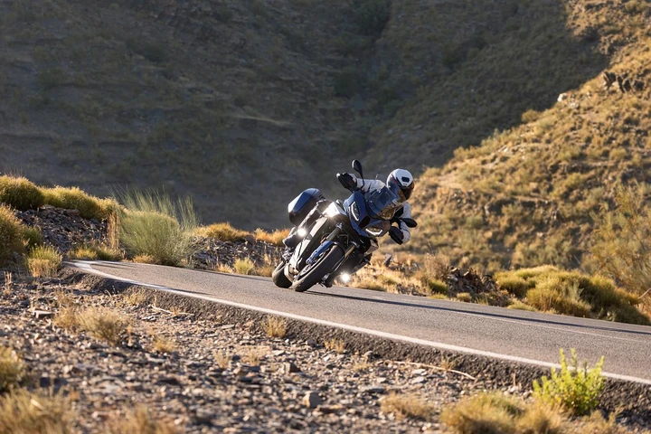 ingrandisci immagine