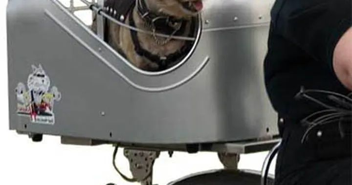 Pet Carrier per i nostri amicia 4 zampe