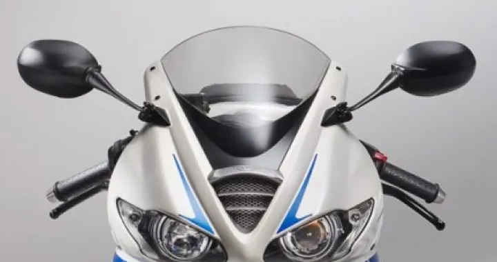 Altre foto della Triumph Daytona 675 SE 2010