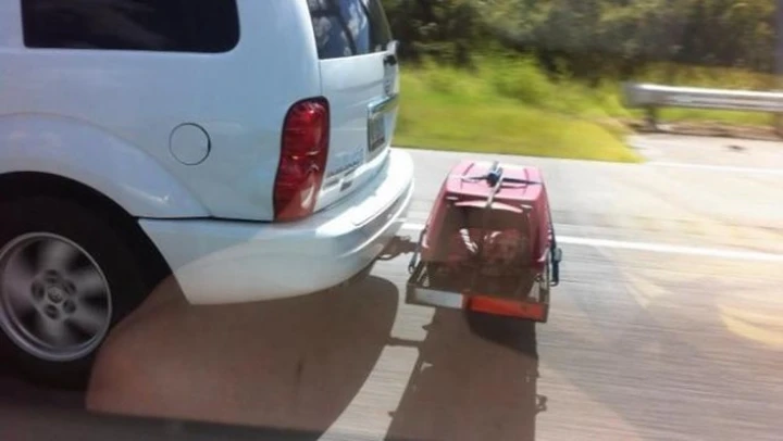 Usa: fermato in autostrada mentre trasporta un cane su un carrellino.