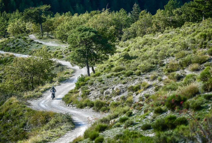 ingrandisci immagine