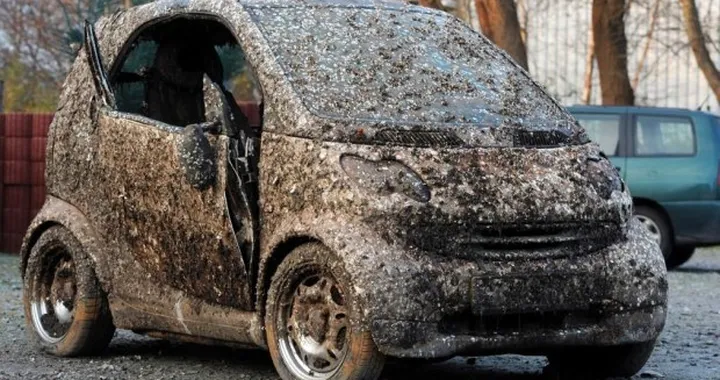 Venduta per 1.100 euro la Smart rimasta per sette anni in fondo al mare