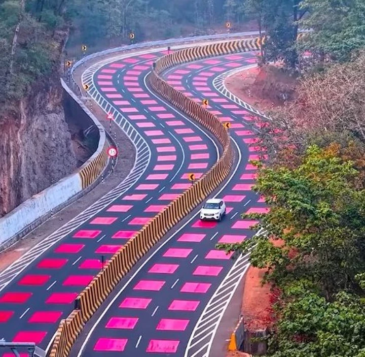 Una strada dipinta di rosso per proteggere la fauna: un'idea che arriva da lontano