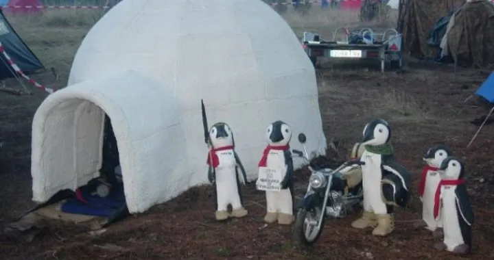 Foto del giorno: Pinguinos 2011