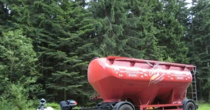 Foto del giorno: La Foresta Nera