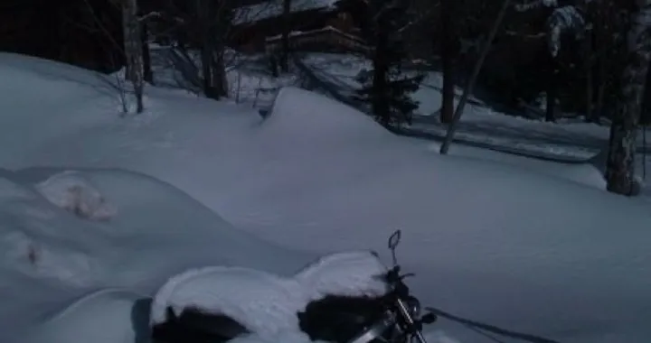 Foto del giorno: sommersa dalla neve