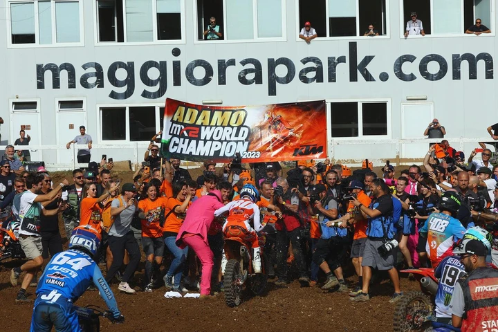 ingrandisci immagine