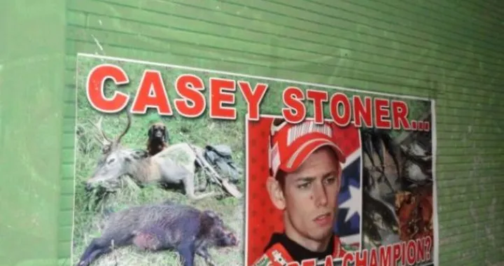 MotoGP, Misano: animalisti contro Stoner