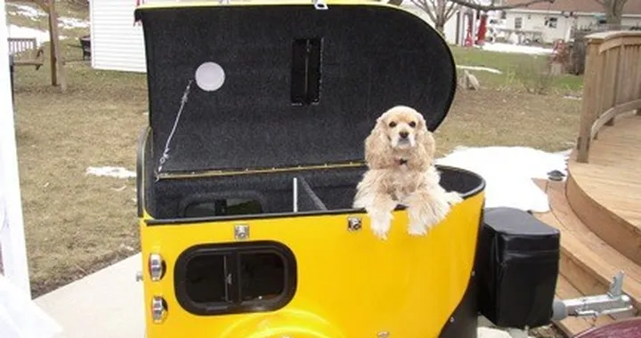 Un rimorchio a quattro zampe