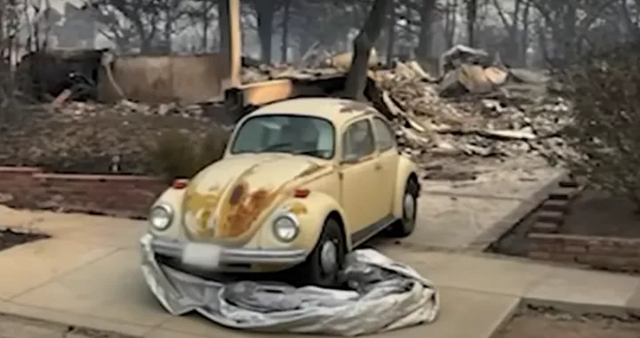 Volkswagen Maggiolino esce indenne dagli incendi di Los Angeles [VIDEO]