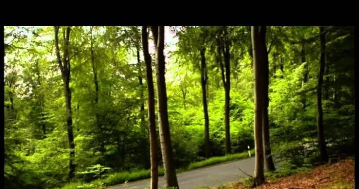 Audi A6 Avant: nuovi video