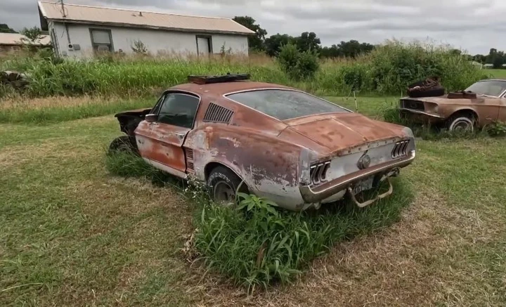 Un raro gioiello automobilistico: il restauro di una Ford Mustang Fastback del 1967