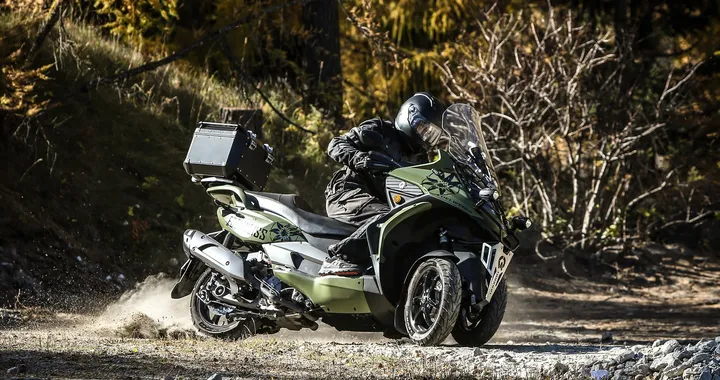 Quadro: Quadro3 Edelweiss 2018