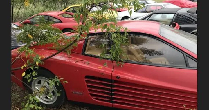Ferrari abbandonate in Texas: 11 supercar ferite nell'orgoglio