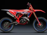 Beta RX 250 e 350: la nuova era del motocross made in Italy