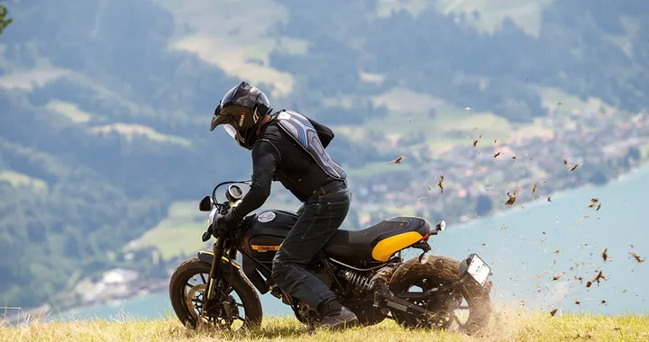 Protettore dorsale Vanucci 848 LSE80: leggero e schermante