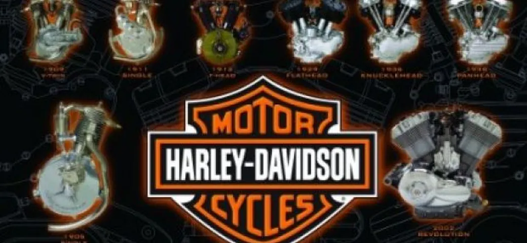 Harley-Davidson: bilanci 2008 e progetti 2009