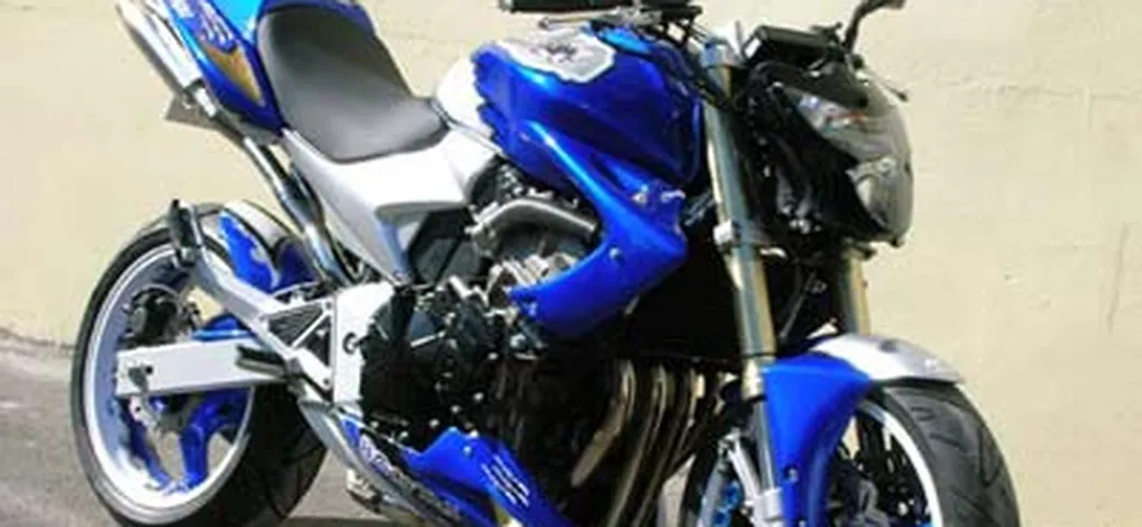 Honda Hornet 600 Dragon's