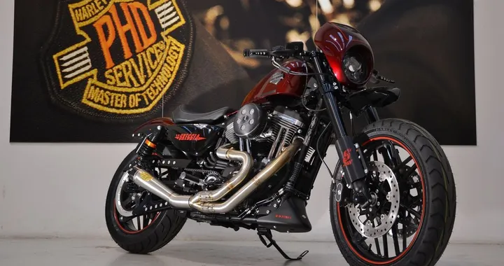 Harley-Davidson Sportster Roadster “Skeggia” H-D Parma