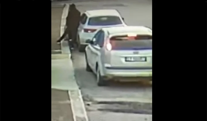 Furti auto: rubano una Seat Leon in meno di 4 minuti [Video]