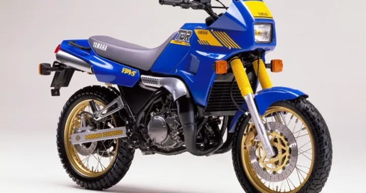 Amarcord: Yamaha TDR 250