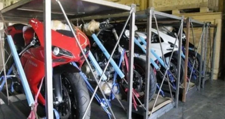 Foto del giorno: belve in gabbia