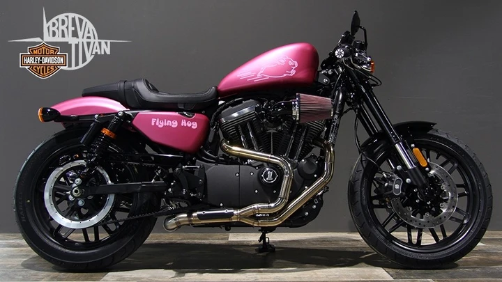 Harley-Davidson Sportster Roadster “Flying HOG” H-D Breva e Tivan