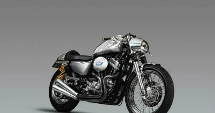 Special: SCPR Sportster by DK Motorrad