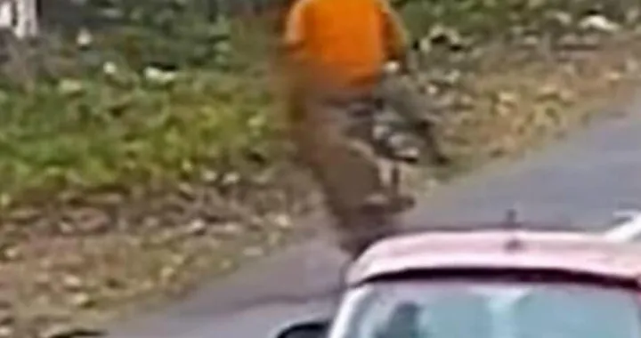 Ciclista aggredito da un leopardo sulla strada [Video]