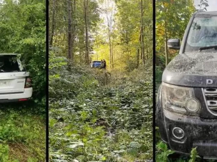 Land Rover rubate