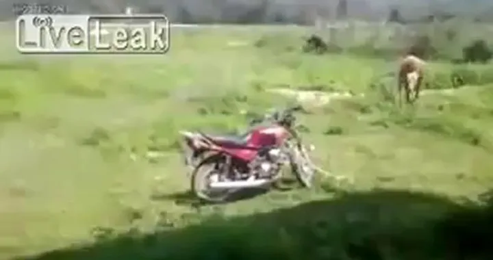 Kawasaki Z1000SX 2014: il Video Test di Motoblog