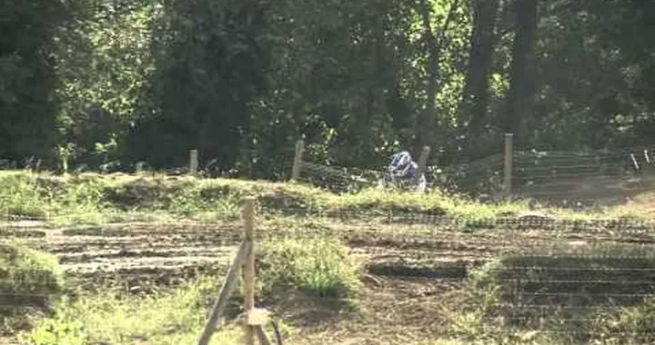 Yamaha XTZ1200R Super Tenere Pharaons 2011