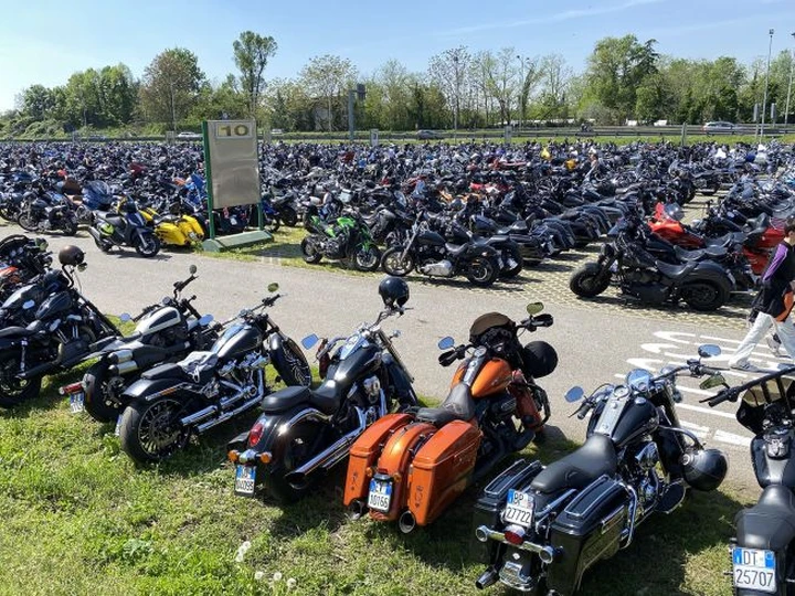 ingrandisci immagine