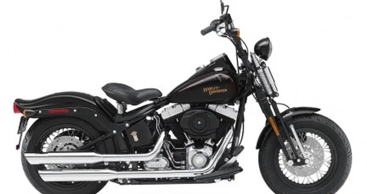 Harley-Davidson FLSTSB Softail Cross Bones my 2008